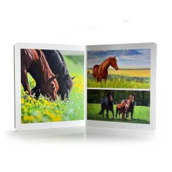 Animales de la granja