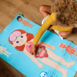 Diset Aprendo en positivo cuerpo humano