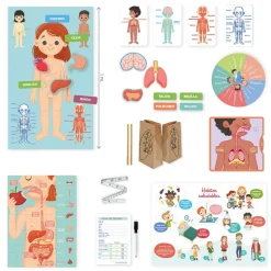 Diset Aprendo en positivo cuerpo humano