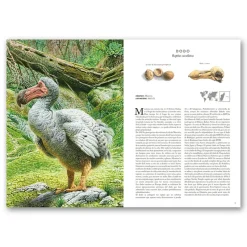 Atlas de animales extintos en nuestra época