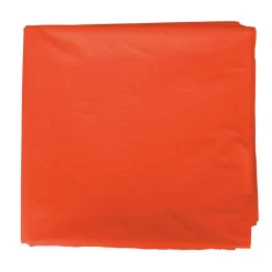Grafoplas Bolsa de disfraz 25 unidades naranja 56x70cm
