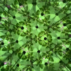 Kikkerland Caleidoscopio Huckleberry