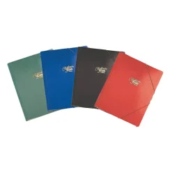 Saro Carpeta clasificadora con 12 departamentos 36x27cm.