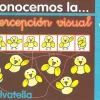 Conocemos percepción visual 3