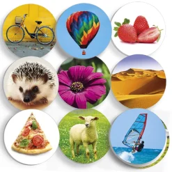 Akros Juego de lenguaje La ruleta de la prelectura