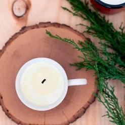 Farmtastico Kit para hacer velas con cera de soja natural