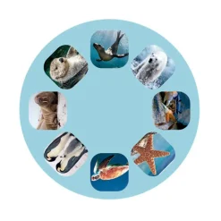 Moses Linterna y proyector animales marinos