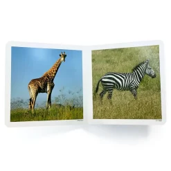 Los Animales Salvajes