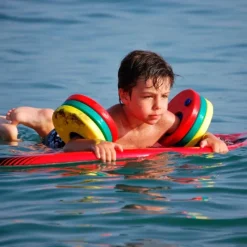 Delphin Manguitos disc