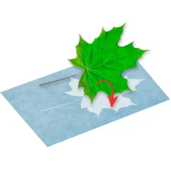 Phanomint Papel para impresión solar set 10 hojas