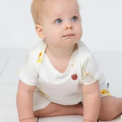 Squitos Parches antimo caja 24 unidades