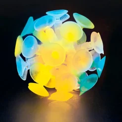 Phanomint Pelota luminosa de ventosas