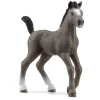 Schleich Potro Cheval de Selle Français.
