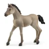 Schleich Potro criollo.