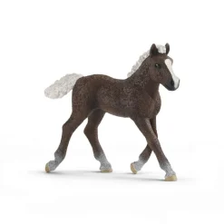 Schleich Potro de la Selva Negra.