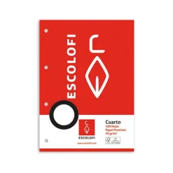 Escolofi Recambio tamaño cuarto cuadro 3mm. 100 hojas con margen y 4 taladros