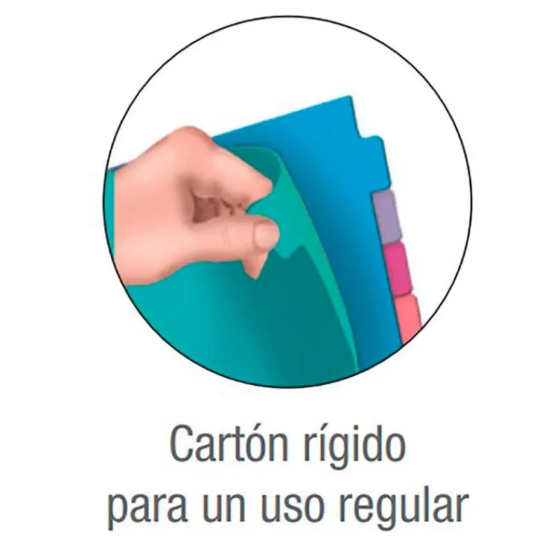 Oxford Separadores de colores tamaño A4 10 posiciones