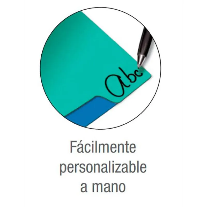 Oxford Separadores de colores tamaño A4 10 posiciones