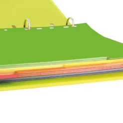 Oxford Separadores de colores tamaño A4 10 posiciones